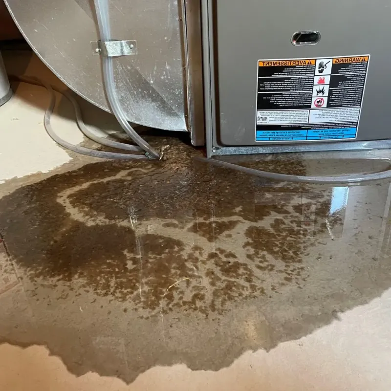 Pipe Burst and Leak Restoration in Uinta County, WY