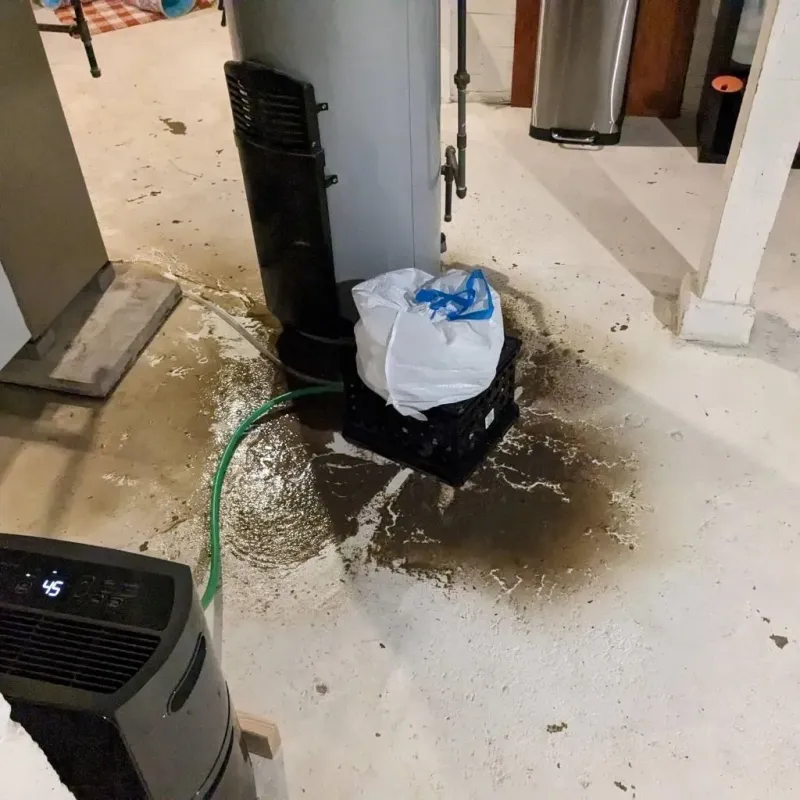 Sewage Backup Cleanup Service in Uinta County, WY